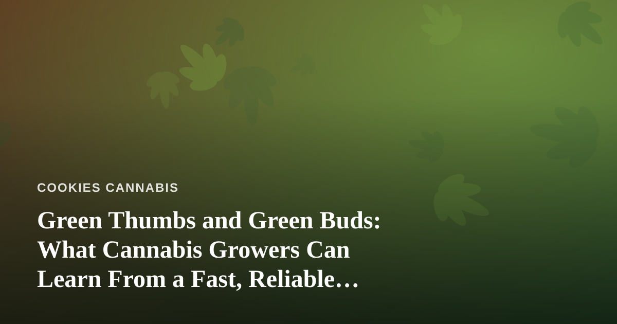 Green Thumbs and Green Buds: What Cannabis Growers Can Learn From a Fast, Reliable Lawn Care Company