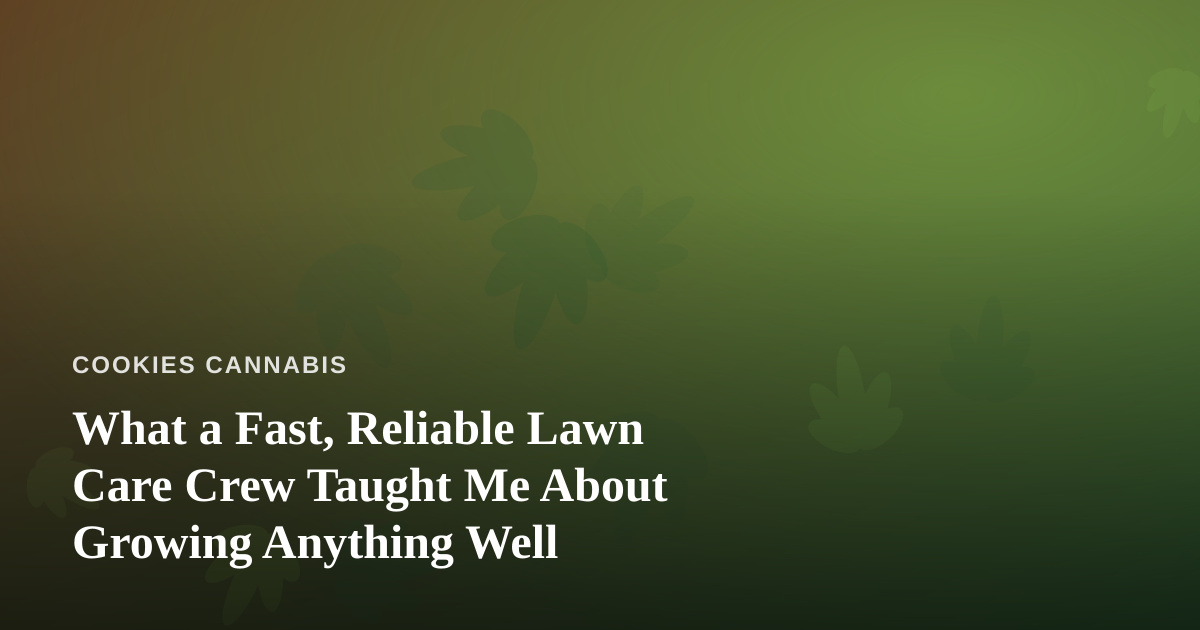 What a Fast, Reliable Lawn Care Crew Taught Me About Growing Anything Well