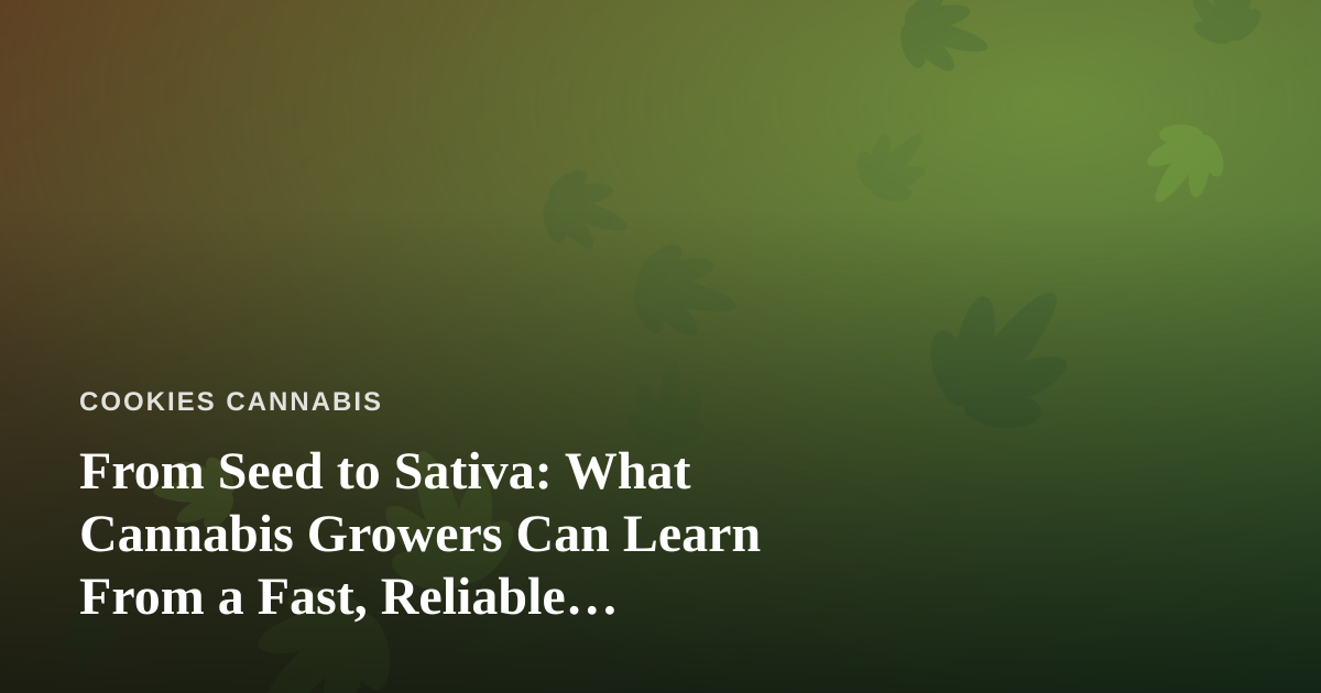 From Seed to Sativa: What Cannabis Growers Can Learn From a Fast, Reliable Professional Lawn Care Company