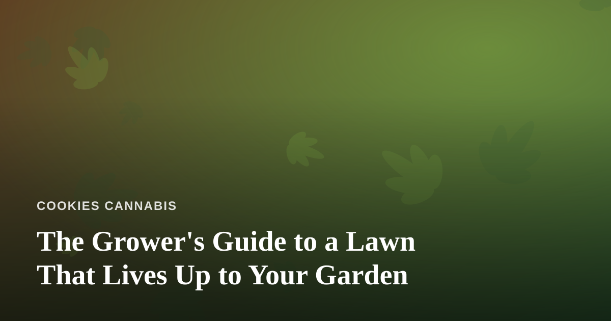 The Grower’s Guide to a Lawn That Lives Up to Your Garden